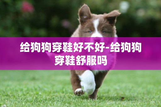 給狗狗穿鞋好不好-給狗狗穿鞋舒服嗎