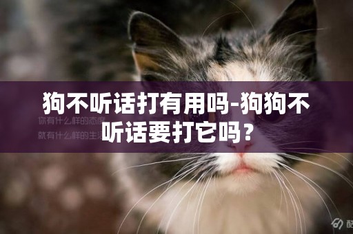 狗不聽話打有用嗎-狗狗不聽話要打它嗎？