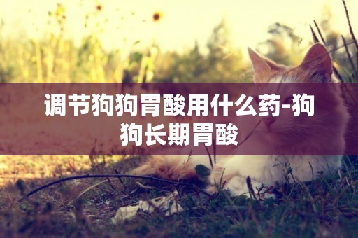 調節狗狗胃酸用什么藥-狗狗長期胃酸
