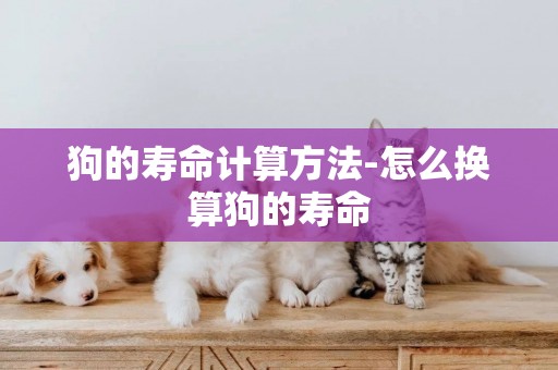 狗的壽命計算方法-怎么換算狗的壽命
