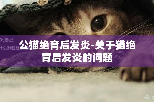 公貓絕育后發炎-關于貓絕育后發炎的問題