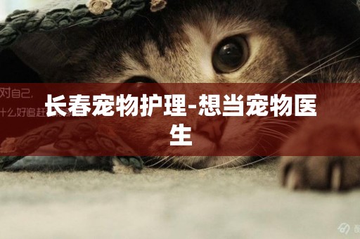 長春寵物護理-想當寵物醫生