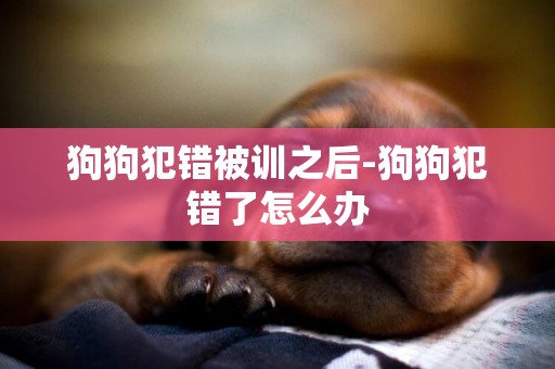 狗狗犯錯被訓之后-狗狗犯錯了怎么辦