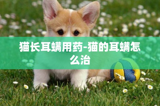 貓長耳螨用藥-貓的耳螨怎么治