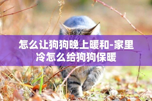 怎么讓狗狗晚上暖和-家里冷怎么給狗狗保暖