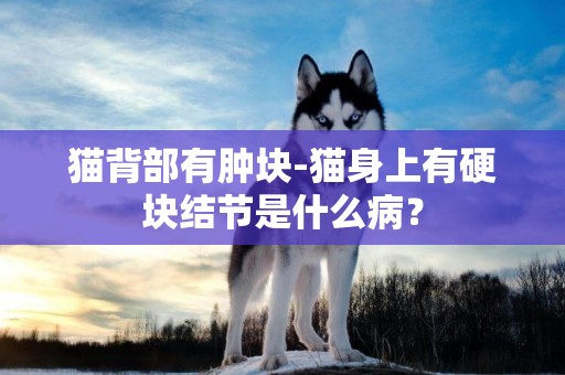 貓背部有腫塊-貓身上有硬塊結節是什么病？