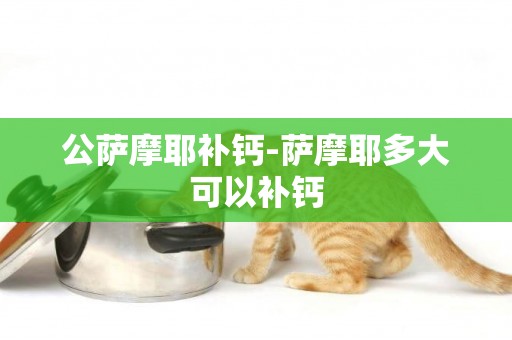 公薩摩耶補鈣-薩摩耶多大可以補鈣