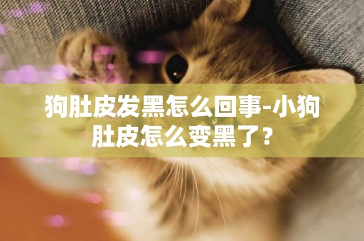 狗肚皮發黑怎么回事-小狗肚皮怎么變黑了？