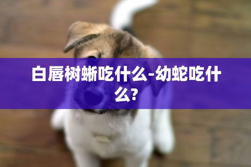 白唇樹蜥吃什么-幼蛇吃什么?
