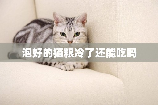 泡好的貓糧冷了還能吃嗎