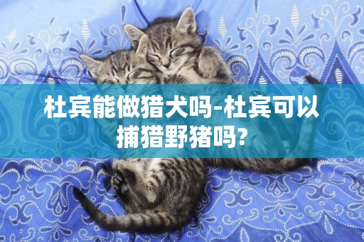 杜賓能做獵犬嗎-杜賓可以捕獵野豬嗎?