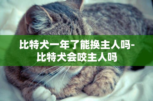 比特犬一年了能換主人嗎-比特犬會咬主人嗎