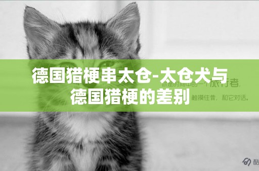 德國獵梗串太倉-太倉犬與德國獵梗的差別