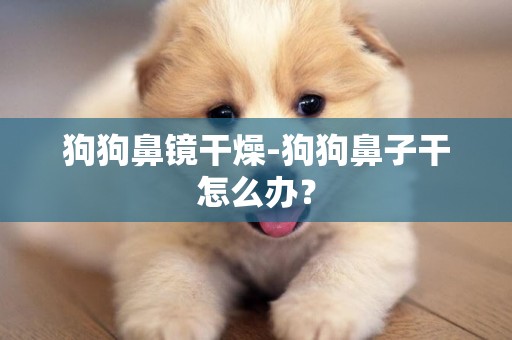 狗狗鼻鏡干燥-狗狗鼻子干怎么辦？