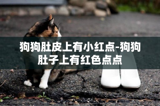 狗狗肚皮上有小紅點-狗狗肚子上有紅色點點