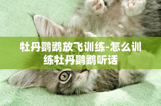 牡丹鸚鵡放飛訓練-怎么訓練牡丹鸚鵡聽話