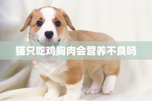 貓只吃雞胸肉會營養不良嗎