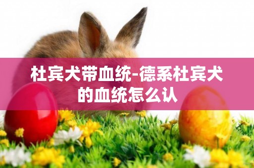 杜賓犬帶血統-德系杜賓犬的血統怎么認
