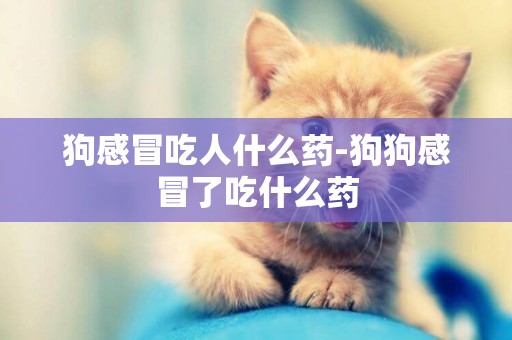狗感冒吃人什么藥-狗狗感冒了吃什么藥