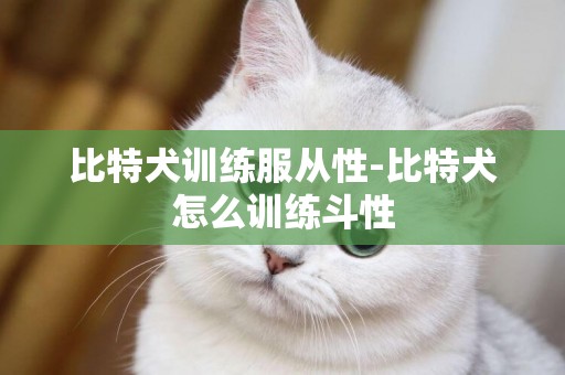 比特犬訓練服從性-比特犬怎么訓練斗性