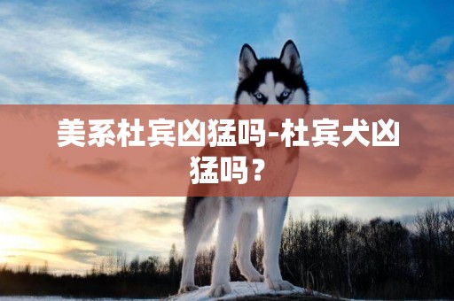 美系杜賓兇猛嗎-杜賓犬兇猛嗎？