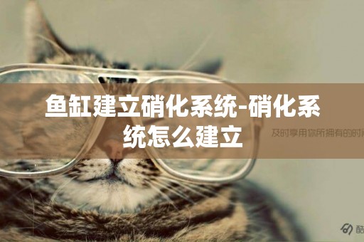 魚缸建立硝化系統-硝化系統怎么建立