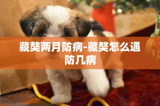 藏獒兩月防病-藏獒怎么遇防幾病