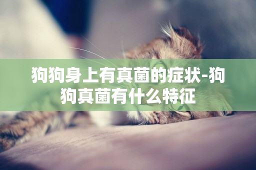 狗狗身上有真菌的癥狀-狗狗真菌有什么特征