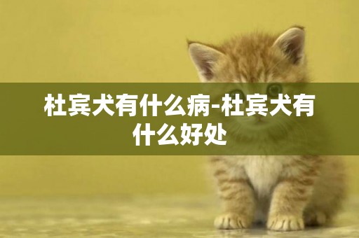 杜賓犬有什么病-杜賓犬有什么好處