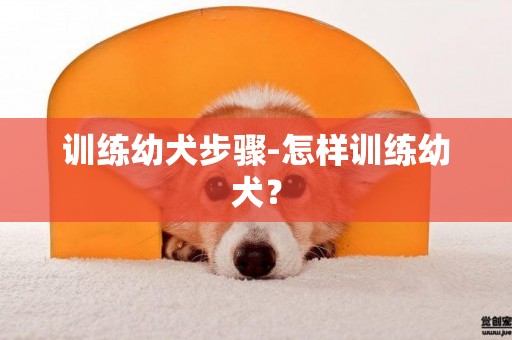 訓練幼犬步驟-怎樣訓練幼犬？