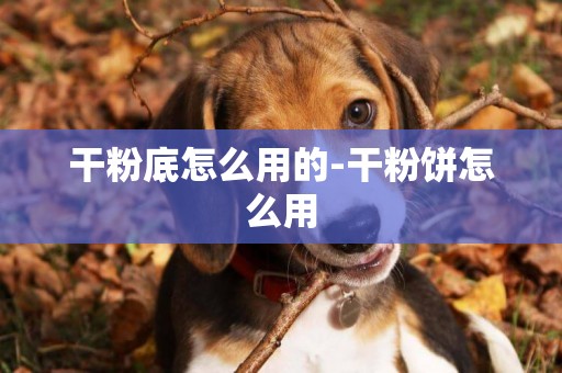 干粉底怎么用的-干粉餅怎么用