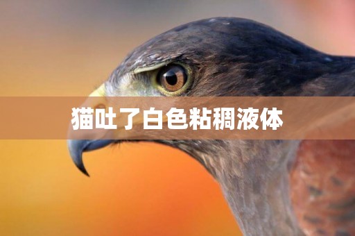 貓吐了白色粘稠液體