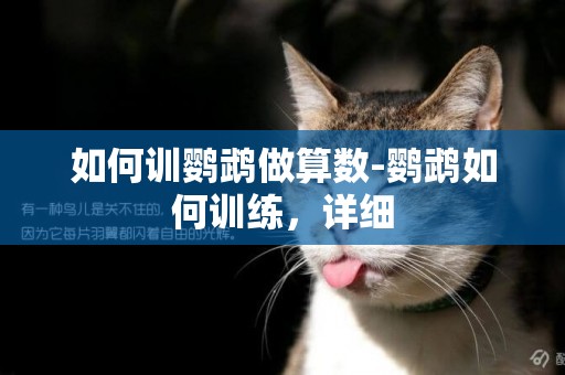 如何訓鸚鵡做算數-鸚鵡如何訓練，詳細