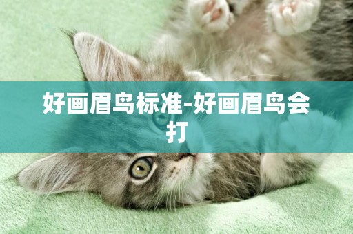 好畫眉鳥標準-好畫眉鳥會打