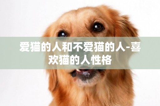 愛貓的人和不愛貓的人-喜歡貓的人性格