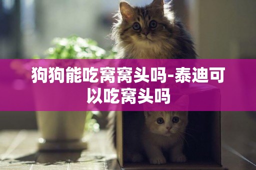 狗狗能吃窩窩頭嗎-泰迪可以吃窩頭嗎