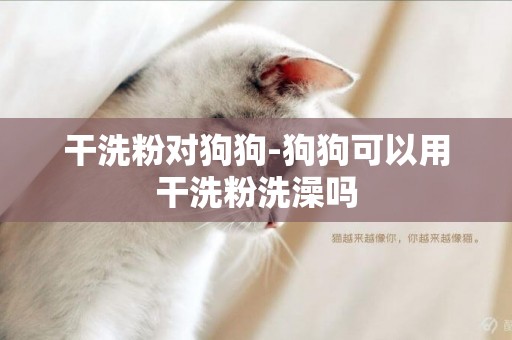 干洗粉對狗狗-狗狗可以用干洗粉洗澡嗎