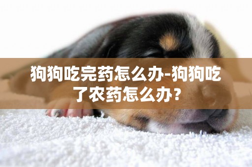 狗狗吃完藥怎么辦-狗狗吃了農藥怎么辦？