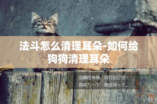 法斗怎么清理耳朵-如何給狗狗清理耳朵