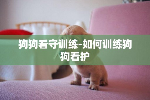 狗狗看守訓練-如何訓練狗狗看護
