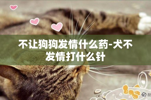 不讓狗狗發情什么藥-犬不發情打什么針