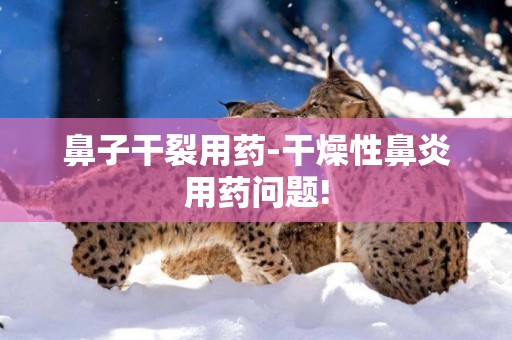 鼻子干裂用藥-干燥性鼻炎用藥問題!