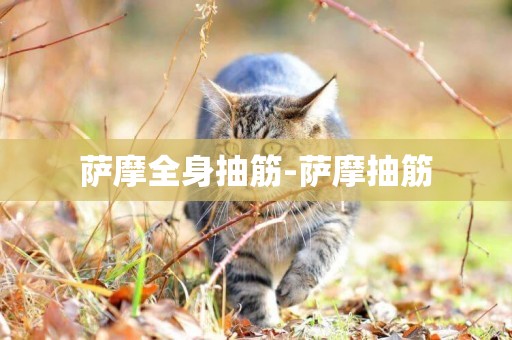 薩摩全身抽筋-薩摩抽筋
