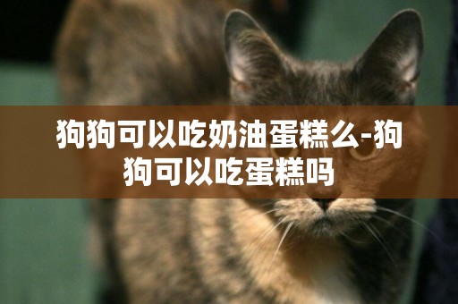 狗狗可以吃奶油蛋糕么-狗狗可以吃蛋糕嗎