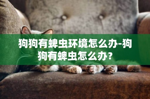 狗狗有蜱蟲環境怎么辦-狗狗有蜱蟲怎么辦？