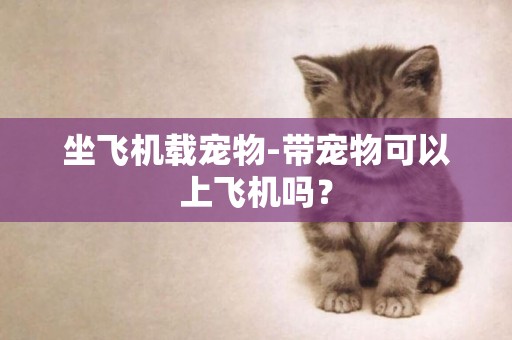 坐飛機載寵物-帶寵物可以上飛機嗎？
