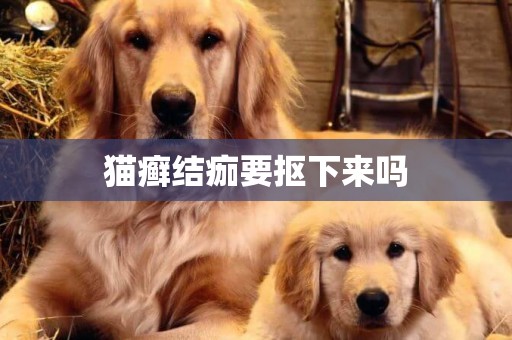 貓癬結痂要摳下來嗎