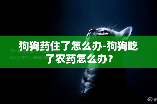 狗狗藥住了怎么辦-狗狗吃了農藥怎么辦？