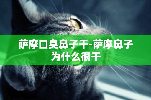 薩摩口臭鼻子干-薩摩鼻子為什么很干