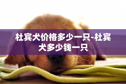 杜賓犬價格多少一只-杜賓犬多少錢一只